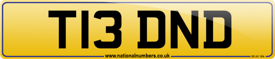 T13 DND