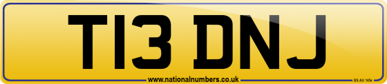 T13 DNJ