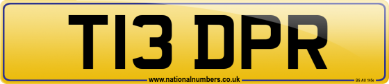 T13 DPR