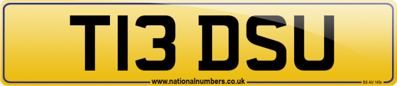 T13 DSU