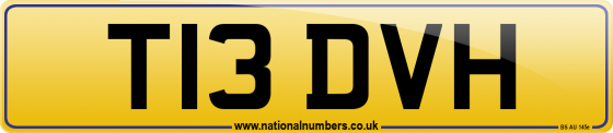 T13 DVH
