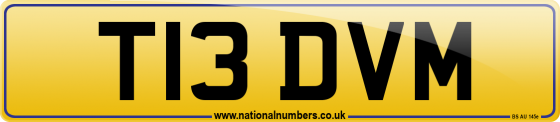 T13 DVM