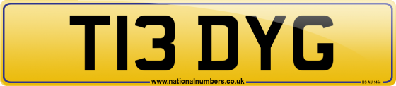T13 DYG
