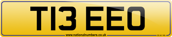T13 EEO