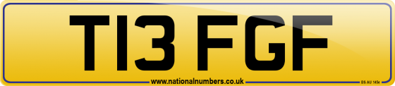 T13 FGF