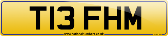T13 FHM