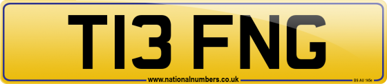 T13 FNG