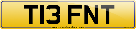T13 FNT