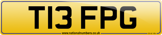 T13 FPG