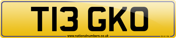 T13 GKO