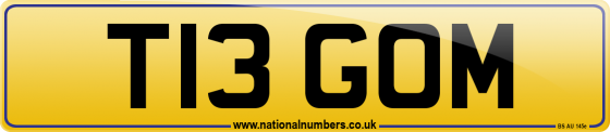 T13 GOM
