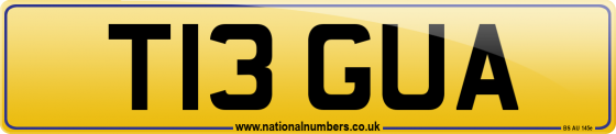 T13 GUA