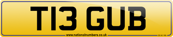 T13 GUB