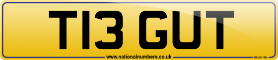 T13 GUT