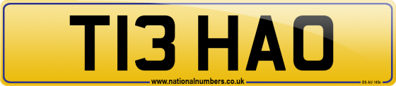 T13 HAO