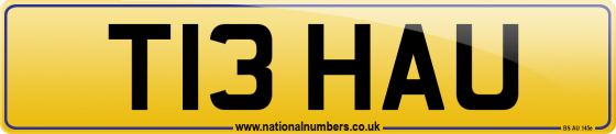 T13 HAU