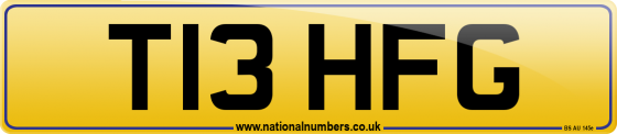 T13 HFG