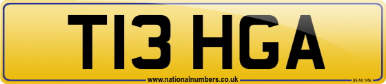 T13 HGA