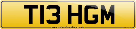 T13 HGM