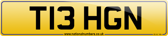 T13 HGN