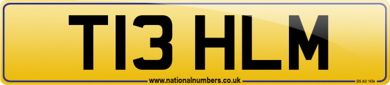 T13 HLM