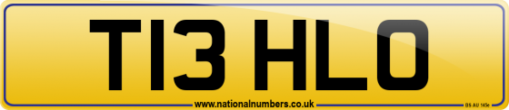 T13 HLO