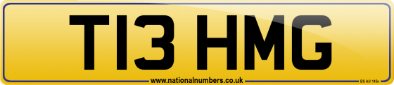 T13 HMG