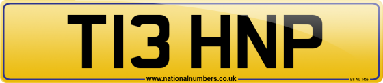T13 HNP