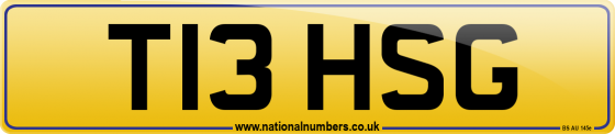 T13 HSG