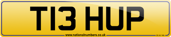 T13 HUP