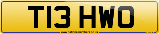 T13 HWO
