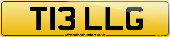 T13 LLG