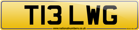 T13 LWG