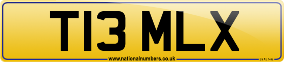 T13 MLX