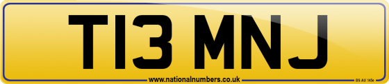 T13 MNJ