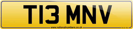 T13 MNV