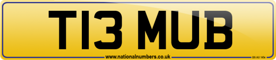 T13 MUB