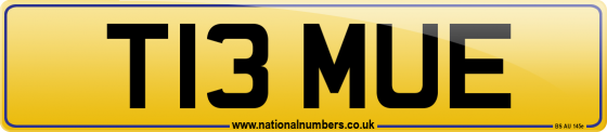 T13 MUE