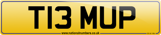 T13 MUP