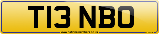 T13 NBO