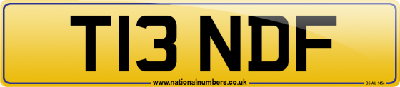T13 NDF