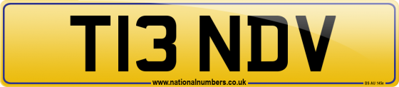 T13 NDV