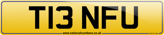 T13 NFU