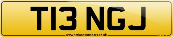 T13 NGJ