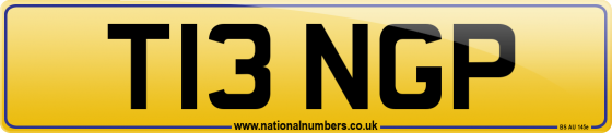 T13 NGP