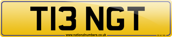 T13 NGT