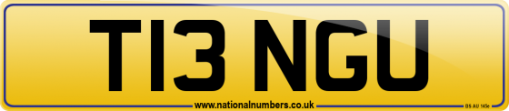 T13 NGU