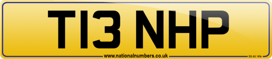 T13 NHP