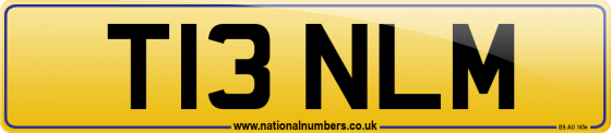 T13 NLM