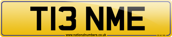 T13 NME